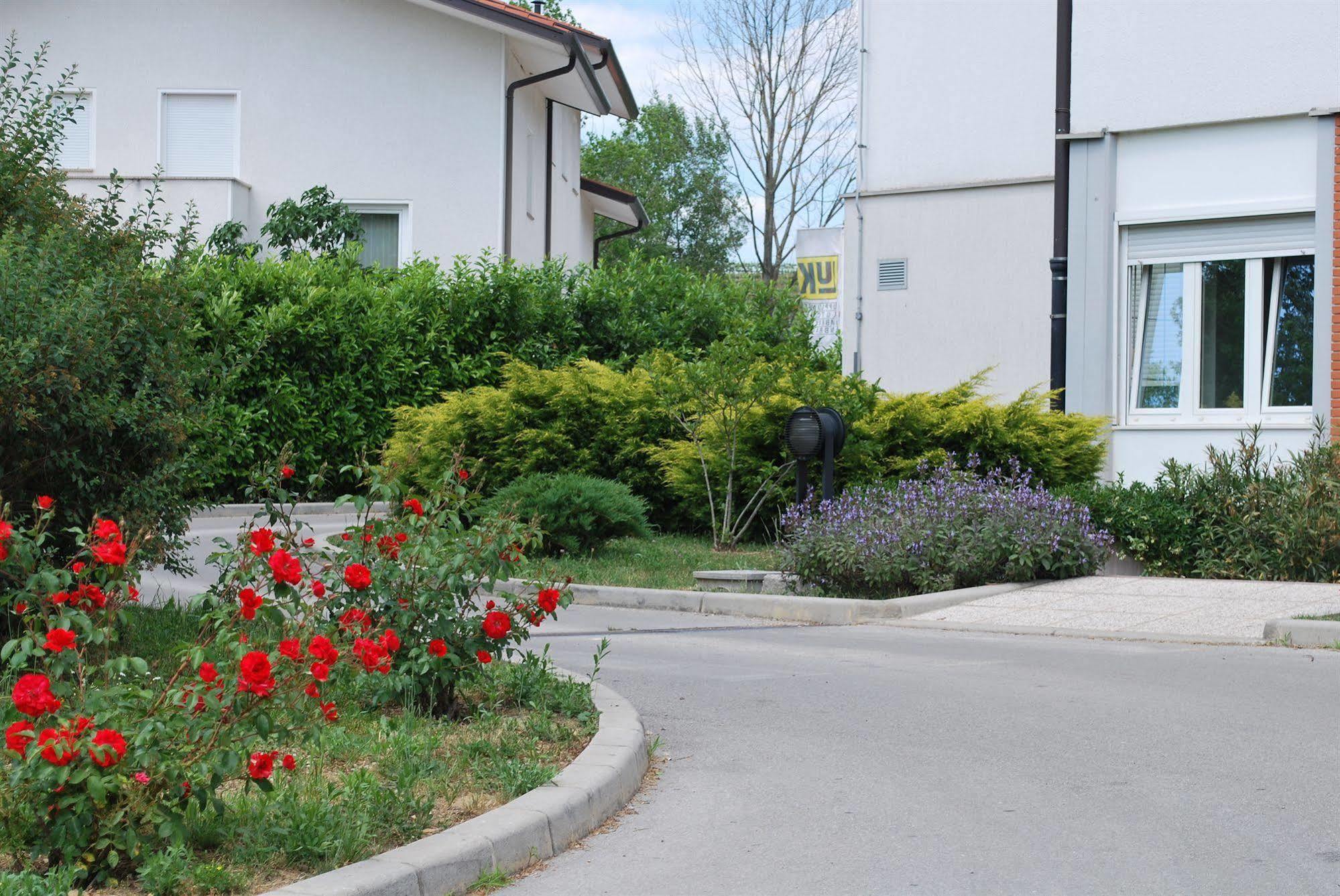 Bed And Breakfast Kogoj Nova Gorica Dış mekan fotoğraf